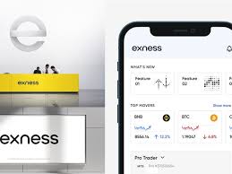 Everything You Need to Know About Exness Online Broker Everything You Need to Know About Exness Online Broker